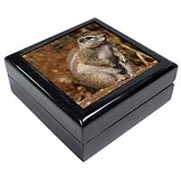 Chipmumks Keepsake/Jewellery Box Christmas Gift