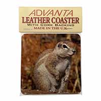 Chipmumks Single Leather Photo Coaster Animal Breed Gift