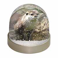 River Otter Snow Globe Photo Waterball