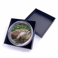River Otter Glass Paperweight in Gift Box