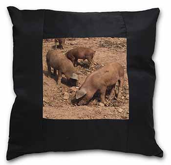 New Baby Pigs Black Satin Feel Scatter Cushion