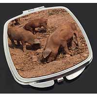 New Baby Pigs Make-Up Compact Mirror