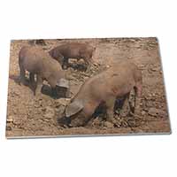 Large Glass Cutting Chopping Board New Baby Pigs