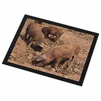 New Baby Pigs Black Rim High Quality Glass Placemat