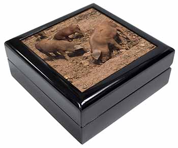 New Baby Pigs Keepsake/Jewellery Box