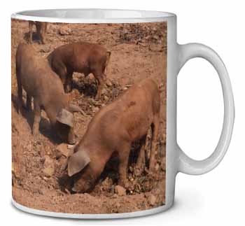 New Baby Pigs Ceramic 10oz Coffee Mug/Tea Cup
