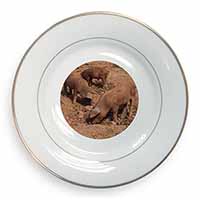 New Baby Pigs Gold Rim Plate Printed Full Colour in Gift Box