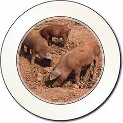 New Baby Pigs Car or Van Permit Holder/Tax Disc Holder