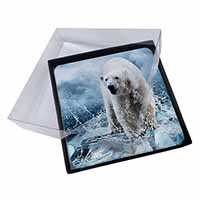 4x Polar Bear on Ice Water Picture Table Coasters Set in Gift Box