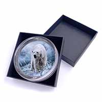 Polar Bear on Ice Water Glass Paperweight in Gift Box