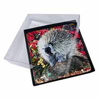 4x Porcupine Wildlife Print Picture Table Coasters Set in Gift Box