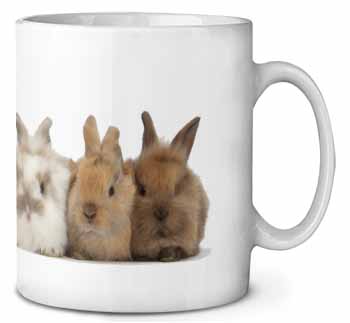 Cute Rabbits Ceramic 10oz Coffee Mug/Tea Cup