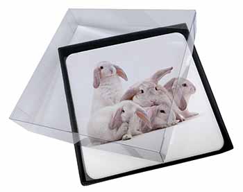4x Cute White Rabbits Picture Table Coasters Set in Gift Box