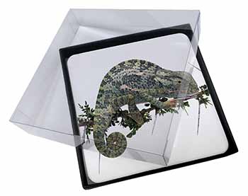 4x Chameleon Lizard Picture Table Coasters Set in Gift Box