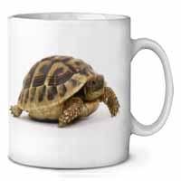 A Cute Tortoise Ceramic 10oz Coffee Mug/Tea Cup
