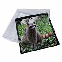 4x Racoon Lemur Picture Table Coasters Set in Gift Box
