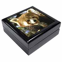 Red Panda Bear Keepsake/Jewellery Box