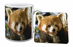 Red Panda Bear Mug and Coaster Set