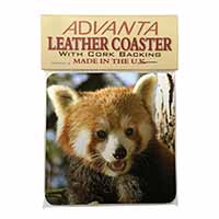 Red Panda Bear Single Leather Photo Coaster
