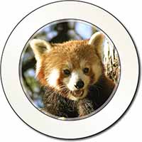 Red Panda Bear Car or Van Permit Holder/Tax Disc Holder
