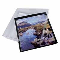 4x Border Collie on Sheep Watch Picture Table Coasters Set in Gift Box