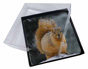4x Red Squirrel in Snow Picture Table Coasters Set in Gift Box