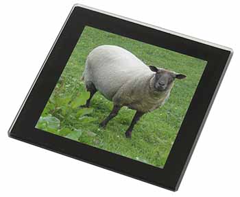 Sheep Intrigued by Camera Black Rim High Quality Glass Coaster