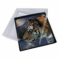 4x Bengal Night Tiger Picture Table Coasters Set in Gift Box