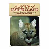 Stunning Big Cat Cougar Single Leather Photo Coaster