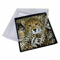 4x Baby Cheetah Picture Table Coasters Set in Gift Box