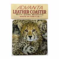 Baby Cheetah Single Leather Photo Coaster