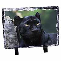Black Panther, Stunning Photo Slate