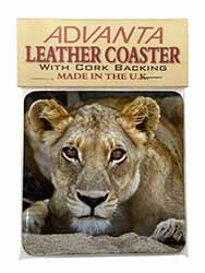 Lioness Single Leather Photo Coaster