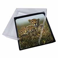 4x Cheetah and Cubs Picture Table Coasters Set in Gift Box