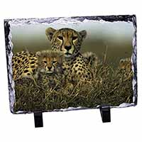 Cheetah and Cubs, Stunning Photo Slate