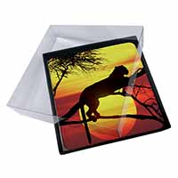 4x Leopard Picture Table Coasters Set in Gift Box