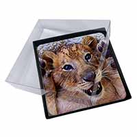 4x Cute Lion Cub Picture Table Coasters Set in Gift Box