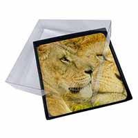 4x Lions in Love Picture Table Coasters Set in Gift Box