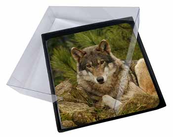 4x A Beautiful Wolf Picture Table Coasters Set in Gift Box