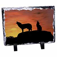 Sunset Wolves, Stunning Photo Slate