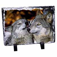 Wolves  in Love, Stunning Photo Slate