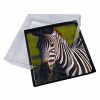 4x A Pretty Zebra Picture Table Coasters Set in Gift Box