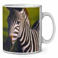 A Pretty Zebra Ceramic 10oz Coffee Mug/Tea Cup