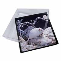 4x White Gerbil Picture Table Coasters Set in Gift Box