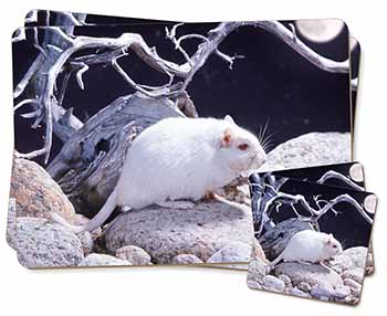 White Gerbil Twin 2x Placemats and 2x Coasters Set in Gift Box