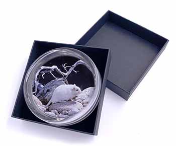 White Gerbil Glass Paperweight in Gift Box