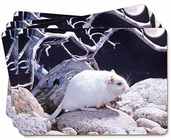 White Gerbil Picture Placemats in Gift Box