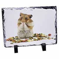 Lunch Box Hamster, Stunning Photo Slate