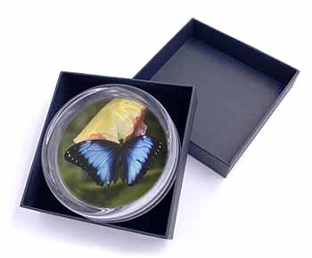 Butterflies Glass Paperweight in Gift Box