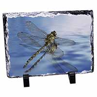 Dragonflies,Dragonfly Over Water,Print, Stunning Photo Slate